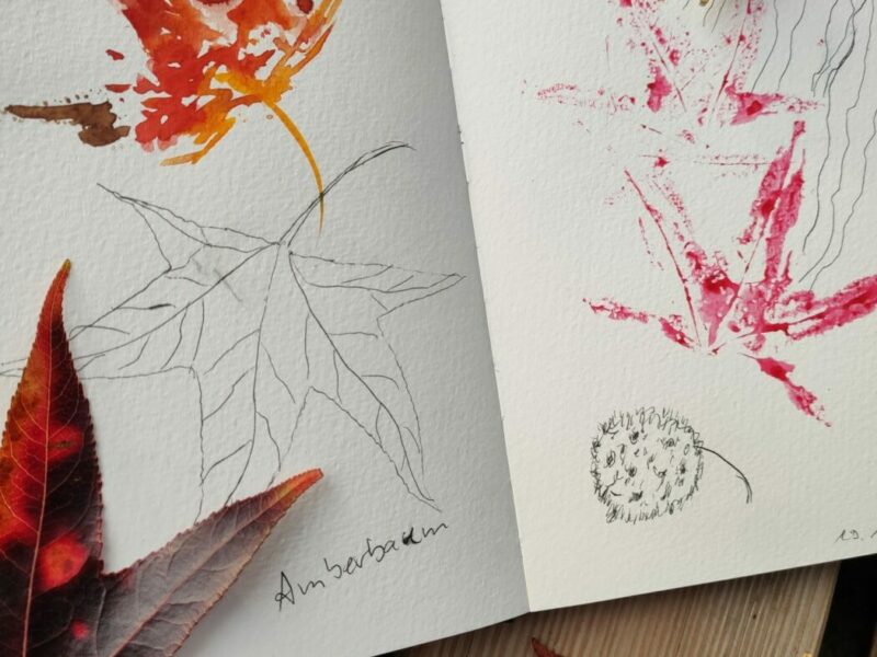 Nature-Journal-Amberbaum-Blätter