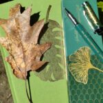 eichenblatt-auf-notizbuch-mit-stift