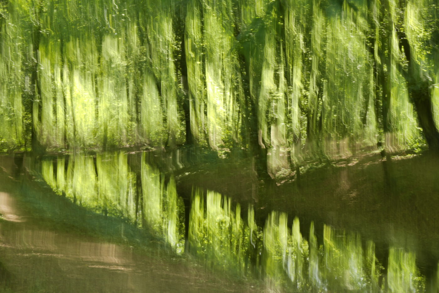 baueme-am-wasser-fruehling