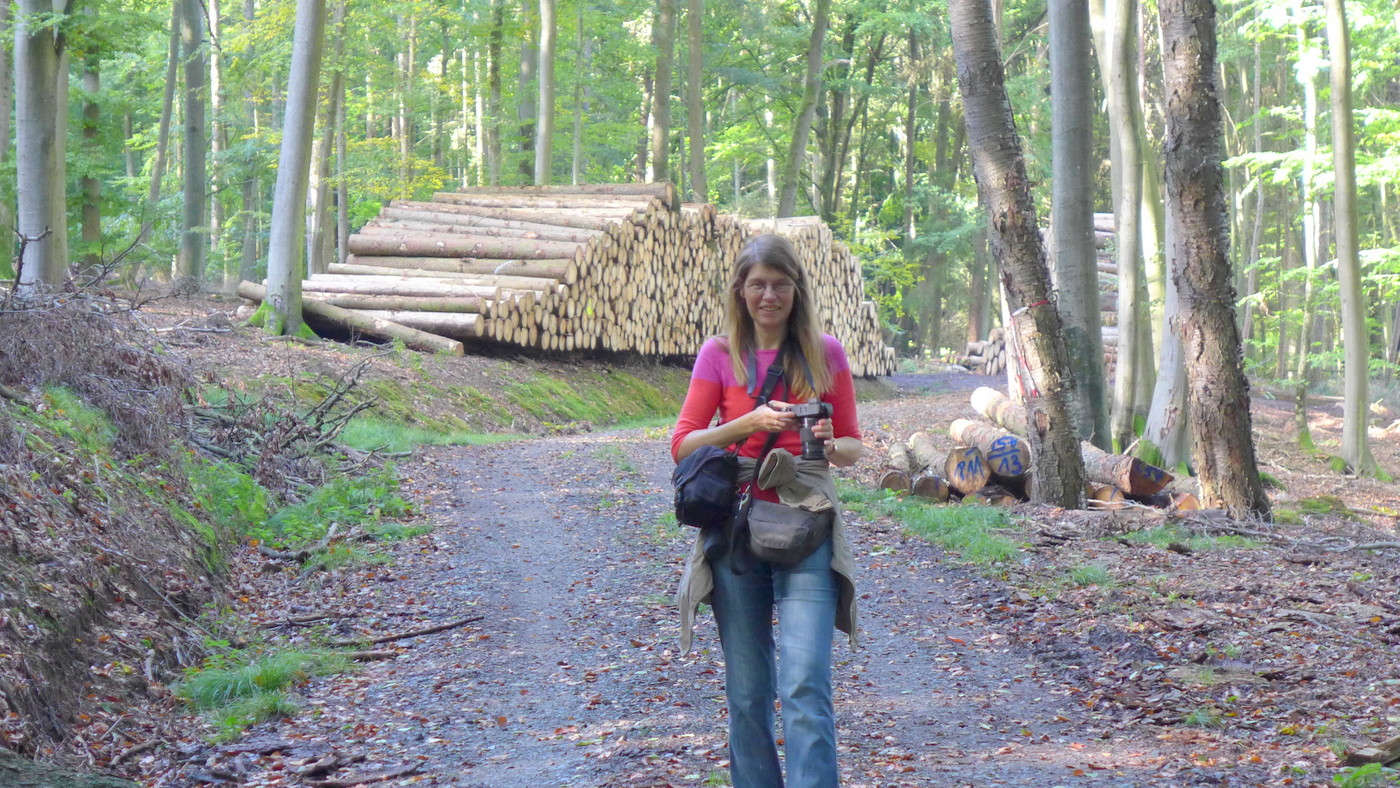 christiane-weismueller-wald