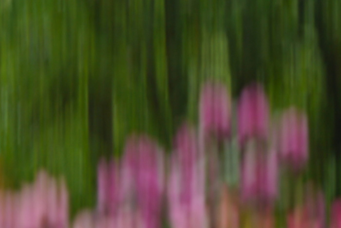 Blumen-impressionistisch