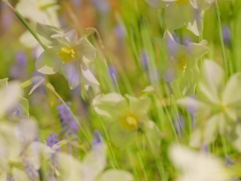 P1100997-e1552302737794