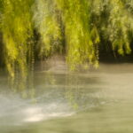 zweige-ueber-wasser