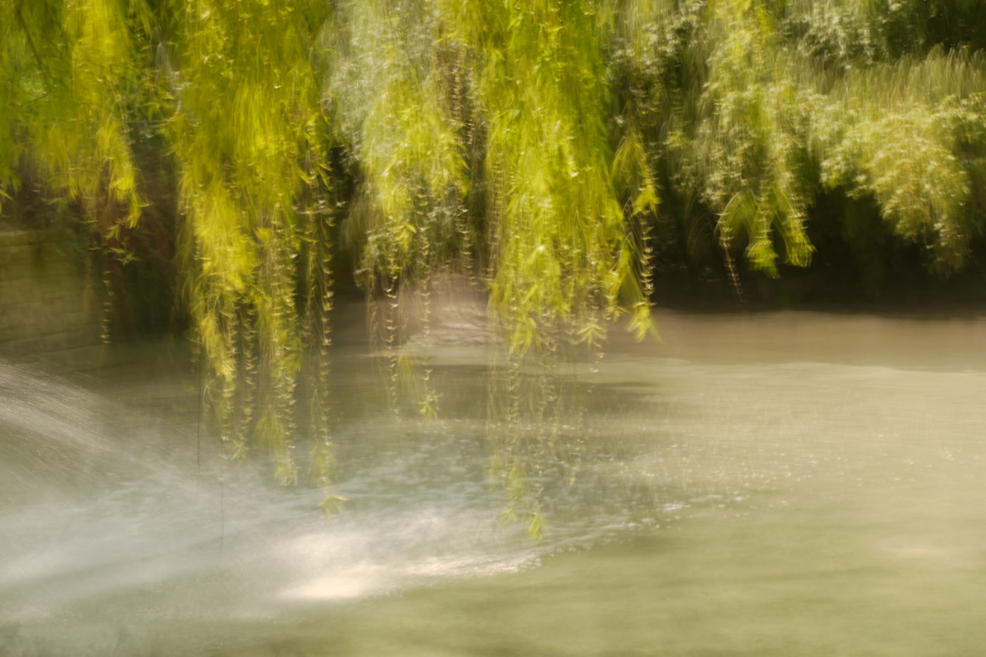 zweige-ueber-wasser