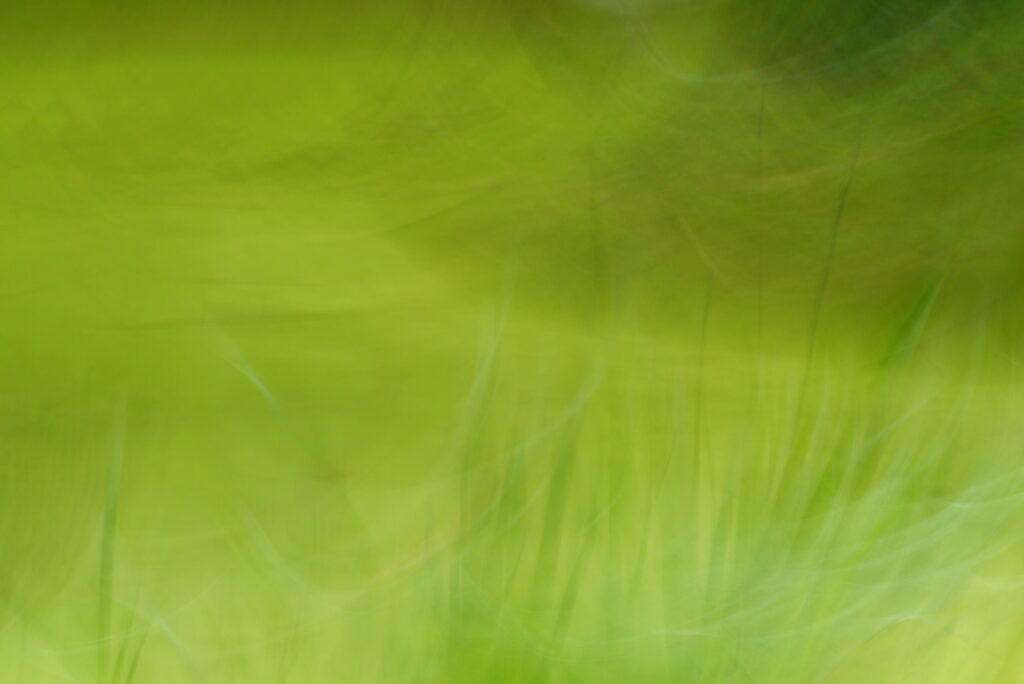 P1120721-001 P1120721