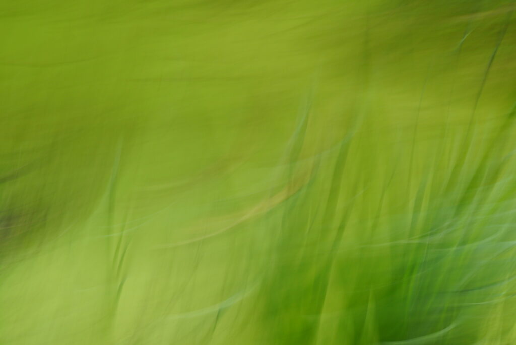 P1120723-001-2 P1120723 001