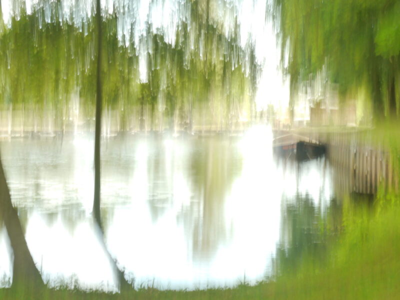 baume-boot-am-fluss