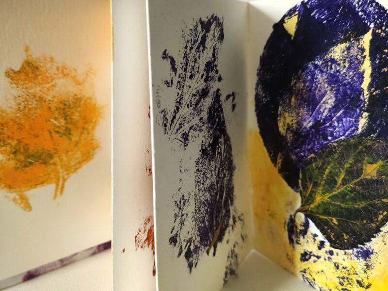 akkordeon-buch-blaetter-prints
