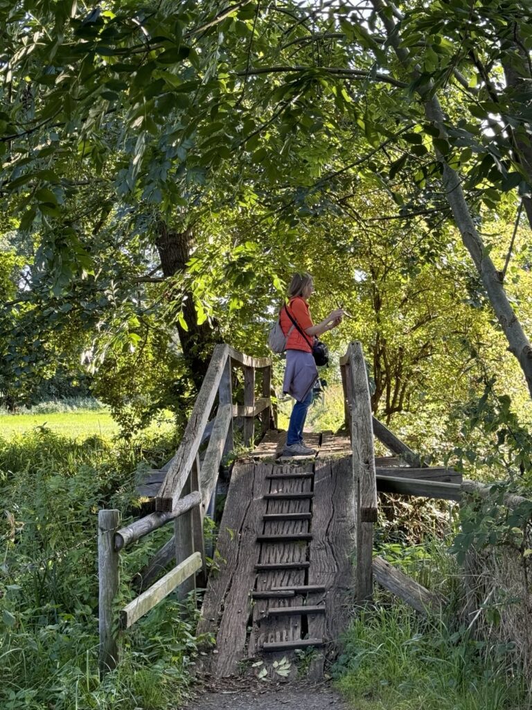 Christiane Weismüller Nature Artist 2025 © Christiane Weismüller christiane-weismueller-brücke